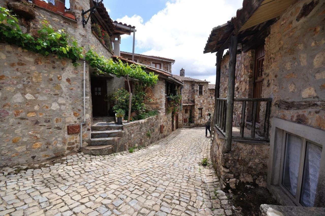 Casa Do Olival Villa Figueiro Dos Vinhos Eksteriør bilde