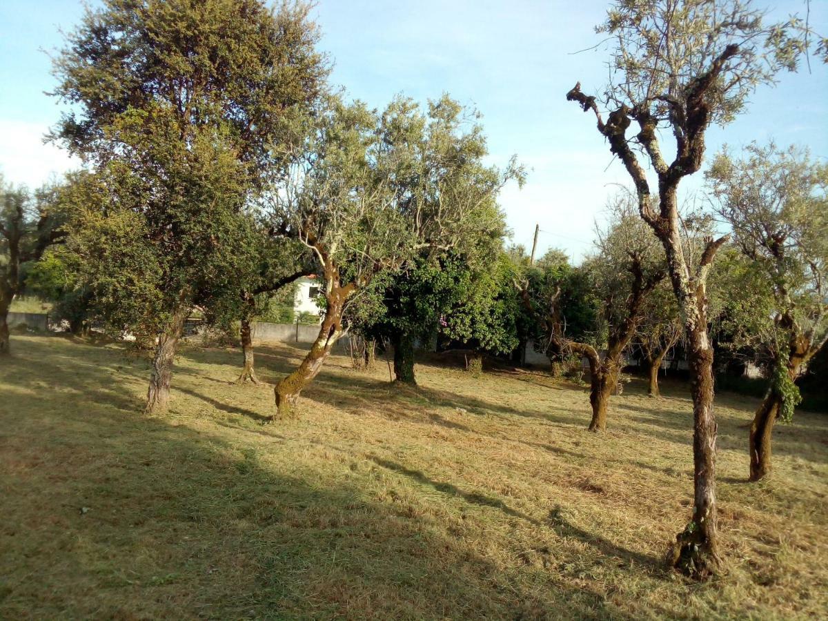 Casa Do Olival Villa Figueiro Dos Vinhos Eksteriør bilde