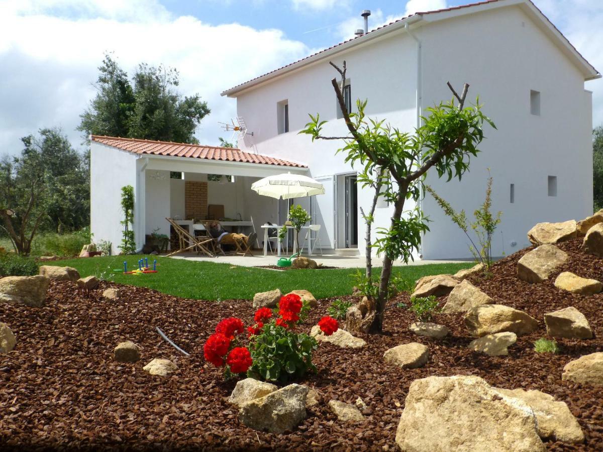 Casa Do Olival Villa Figueiro Dos Vinhos Eksteriør bilde