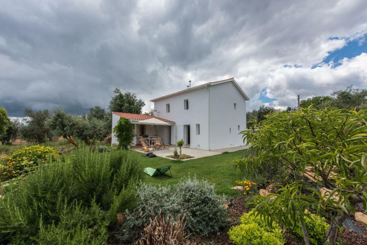 Casa Do Olival Villa Figueiro Dos Vinhos Eksteriør bilde